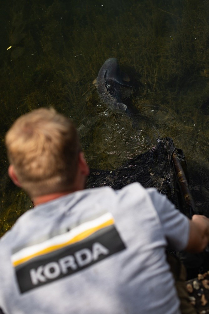 Korda Tričko Lakebed Tee Grey Velikost: L (obrázek 10)