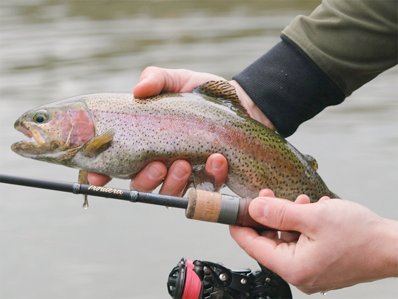 Delphin Prut Troutera HardLure 2,1m 2-7g 2-díl (obrázek 9)