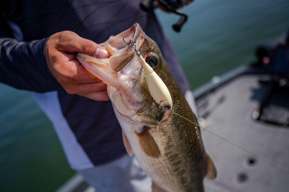 Berkley Wobler Choppo Floating MF Shad Délka: 7,5cm, Hmotnost: 13g, Maximální ponor: 0m (obrázek 8)