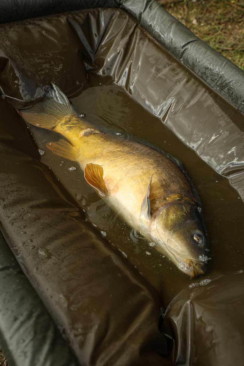 Fox Podložka Carpmaster Welded Cradle (obrázek 7)