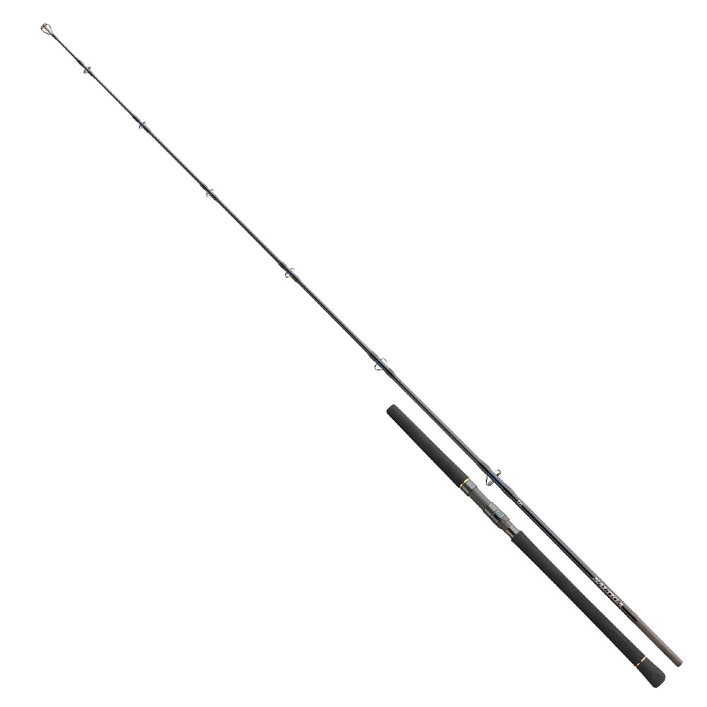 Daiwa Prut Saltiga Stick'N Pop 2,5m 80-125g 1+1-díl