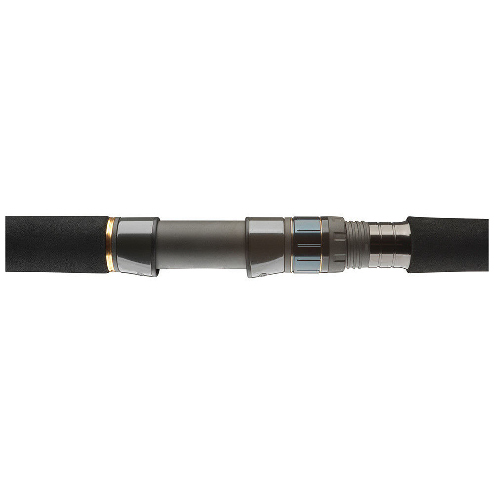 Daiwa Prut Saltiga Stick'N Pop 2,5m 80-125g 1+1-díl (obrázek 5)