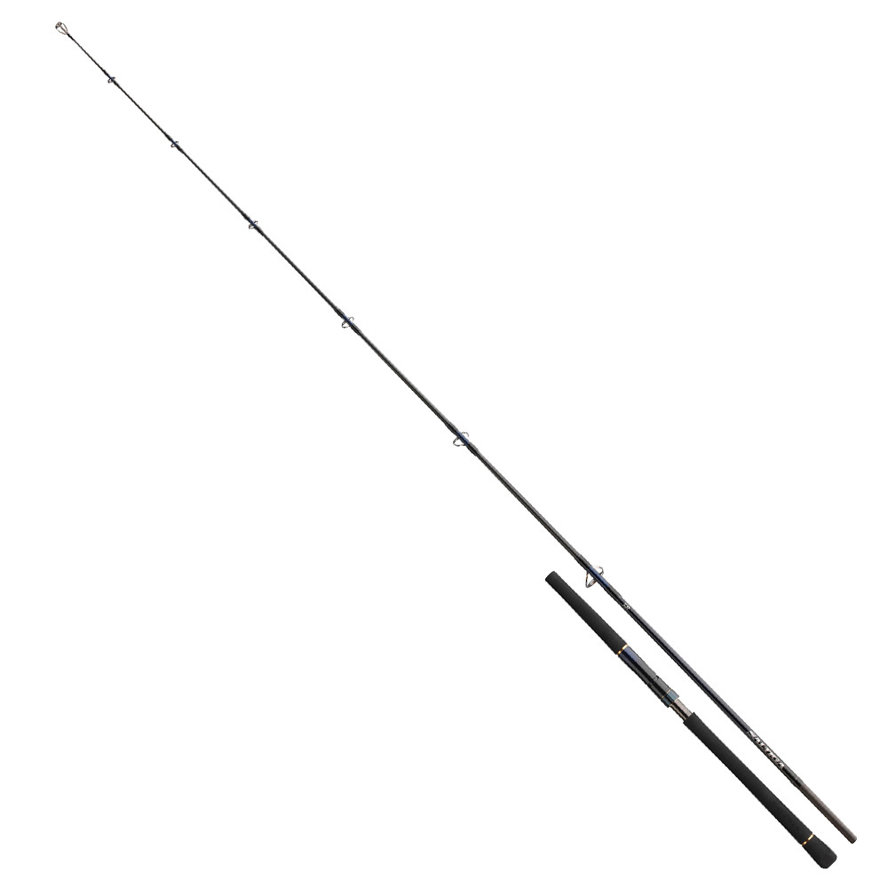 Daiwa Prut Saltiga Light Game 2,4m 40–110g 1+1-díl