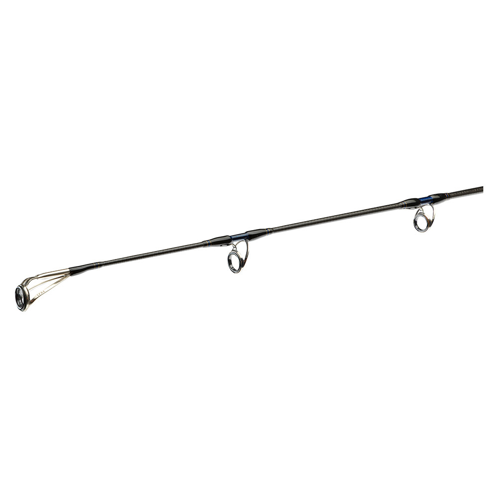Daiwa Prut Saltiga Light Game 2,4m 40–110g 1+1-díl (obrázek 3)
