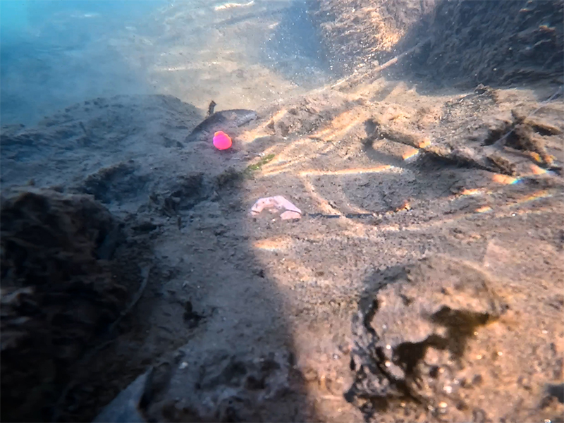 Delphin Olověná Zátěž CyberBARBED TUBE Hmotnost: 100g - Obrázek 4