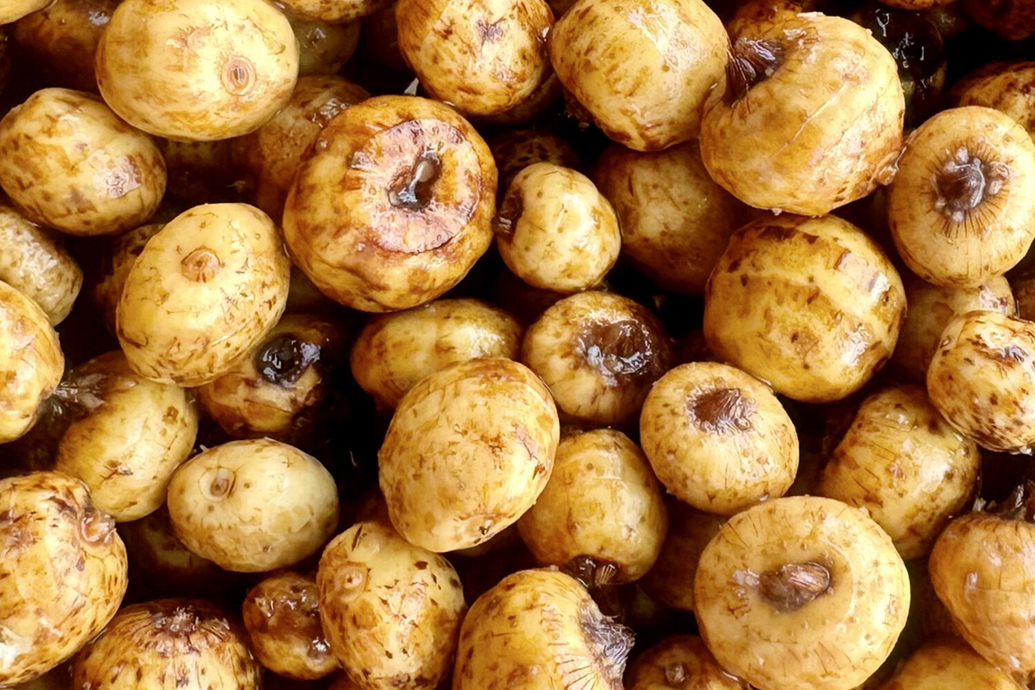 Mivardi Tygří Ořech 2,5kg (obrázek 3)