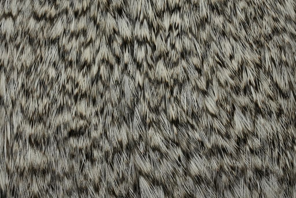 Whiting Hackles Whiting Kohoutí Skalp Coq de Leon Rooster Cape Grizzly (obrázek 3)