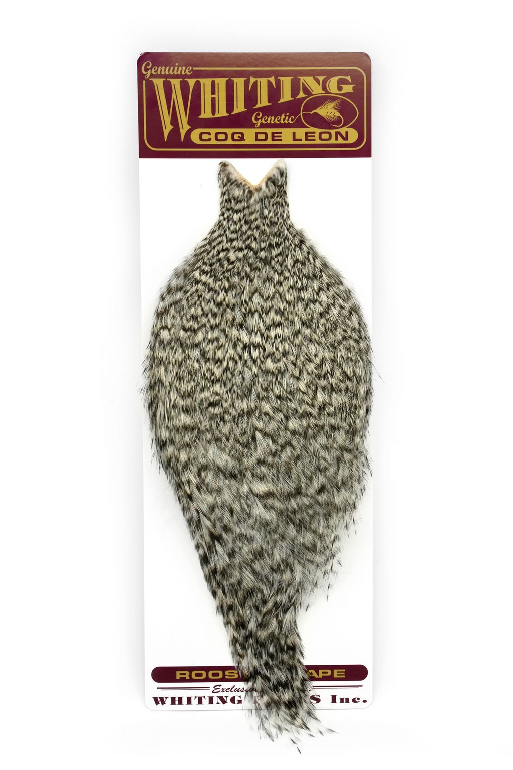 Whiting Hackles Whiting Kohoutí Skalp Coq de Leon Rooster Cape Grizzly