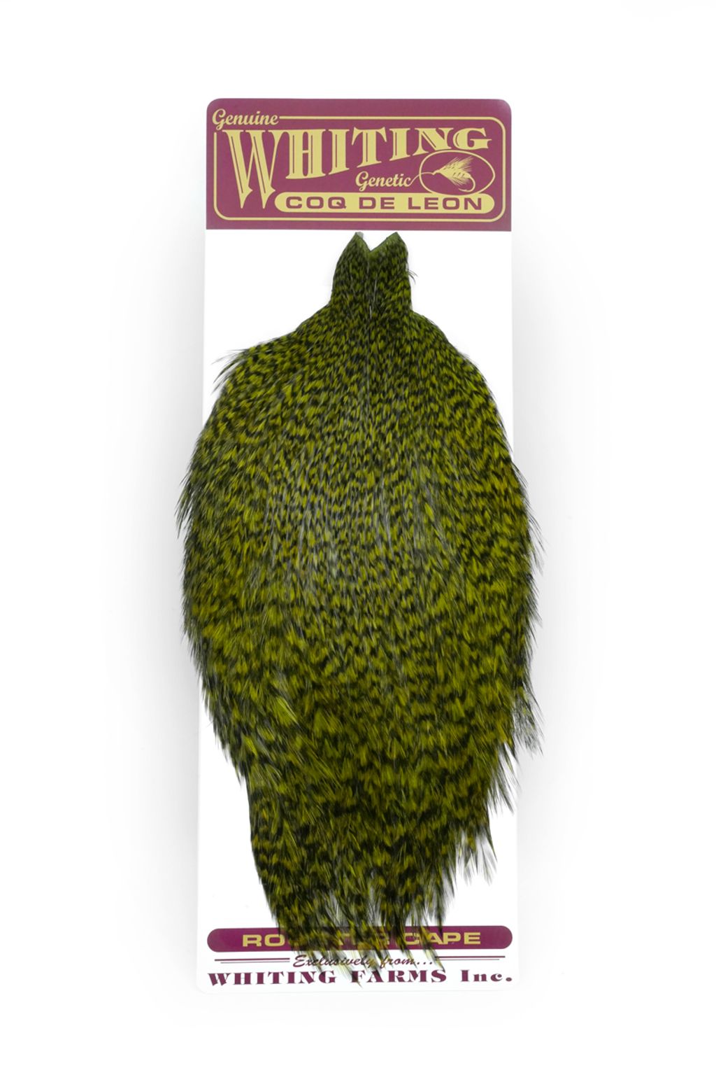 Whiting Hackles Whiting Kohoutí Skalp Coq de Leon Rooster Cape Grizzly Dyed Olive