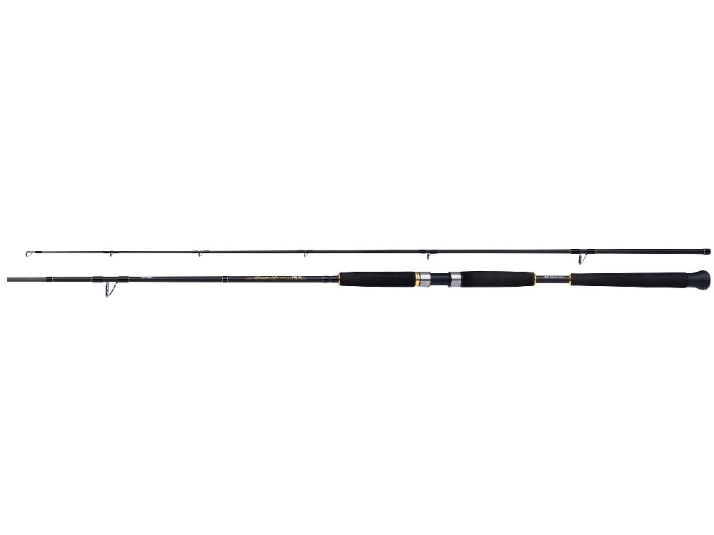 Shimano Prut Beastmaster AX Pilk 2,4m 100-200g 2-díl