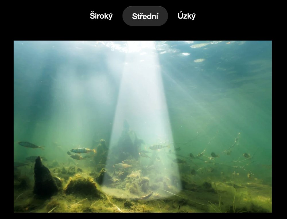 Deeper Nahazovací Sonar Chirp+ 4 (obrázek 4)