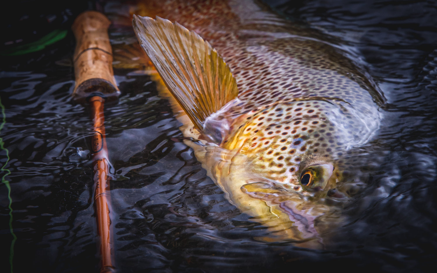 Vision Prut Rivermaniac Medium 10,6ft 3,2m #8 4-díl (obrázek 4)