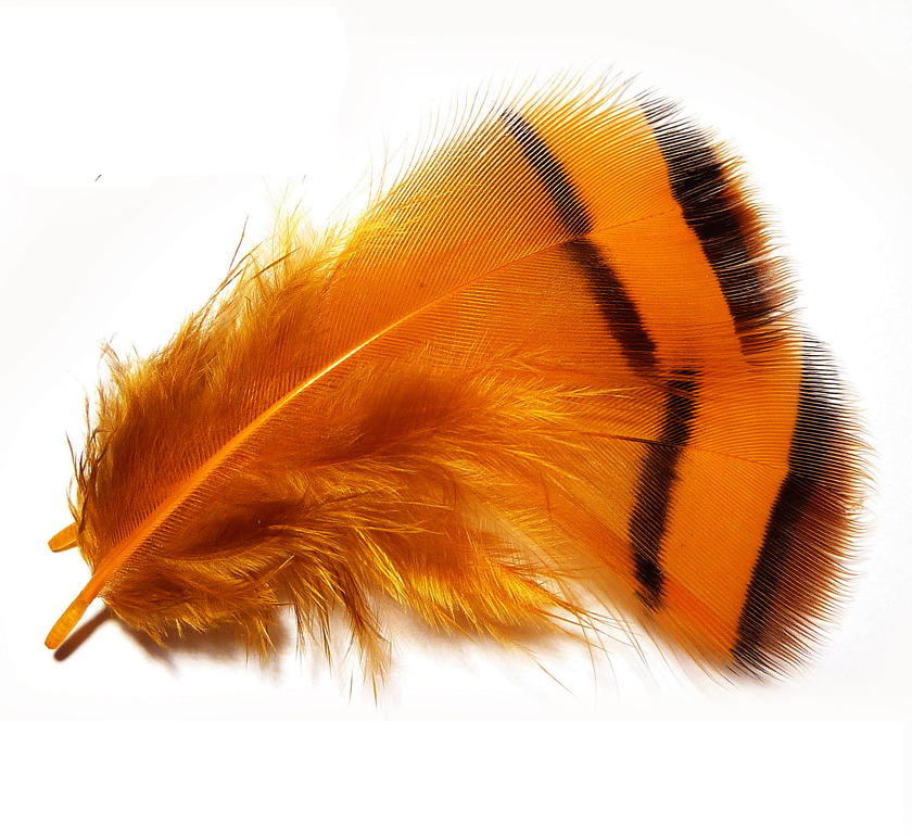 Tommi-Fly Peří Stříbrného Bažanta Krční Oranžové