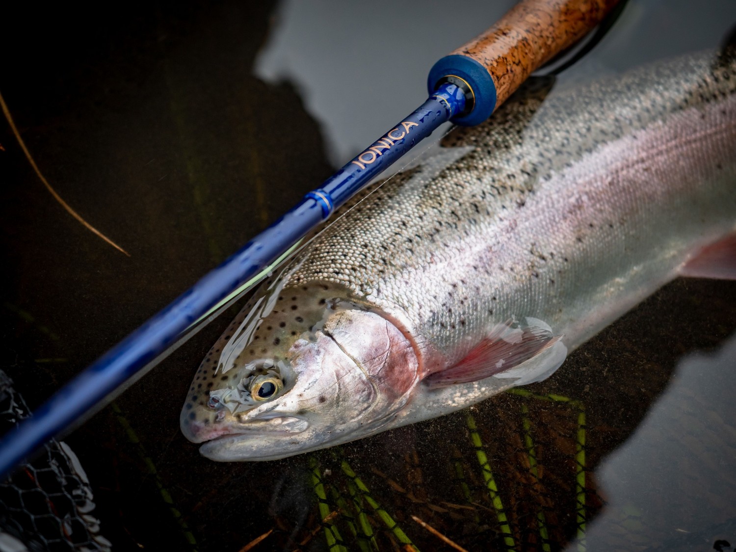 Wychwood Prut Ionica Fly 9ft 2,7m #5 4-díl (obrázek 9)