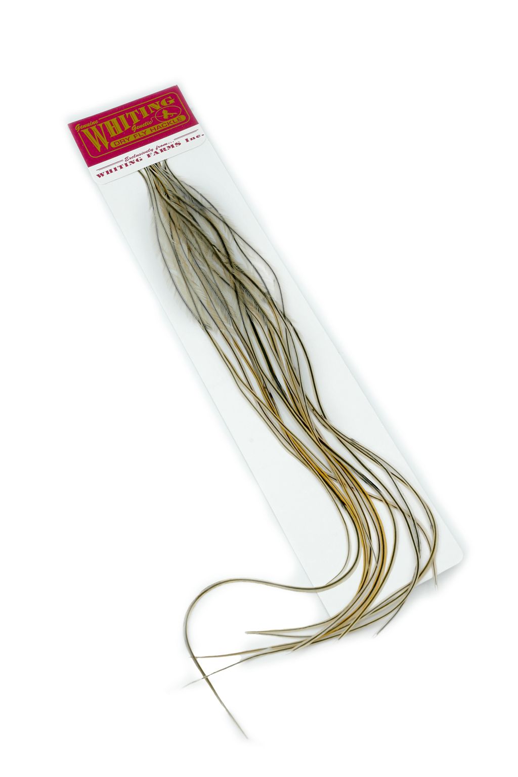Whiting Hackles Whiting Kohoutí Peří 100 Pk Golden Badger #12