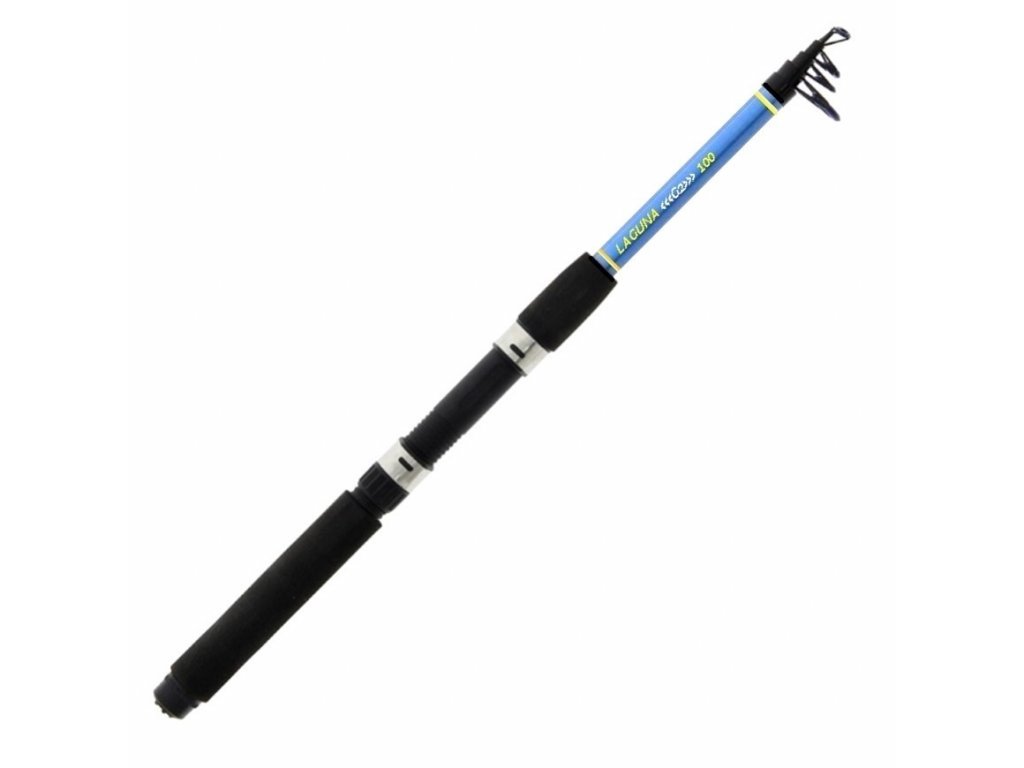 Albastar Prut Laguna G2 10ft 3m 50-100g 5-díl