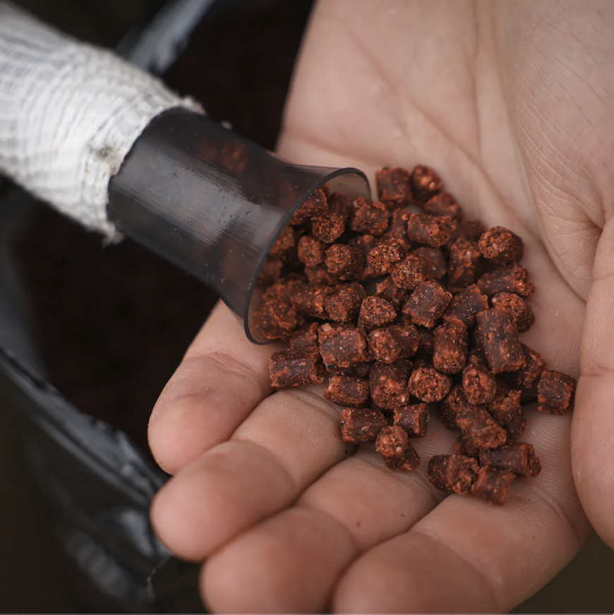 Nikl Pelety KrillBerry Hmotnost: 1kg, Průměr: 3mm (obrázek 4)