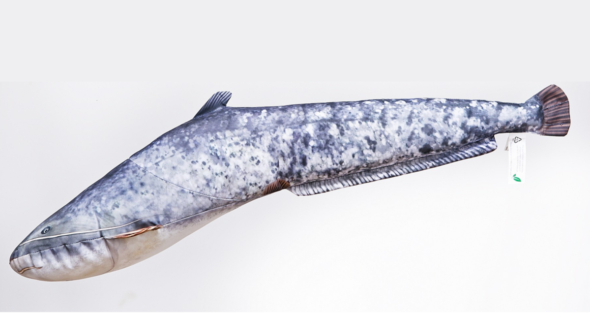 Gaby Polštář Sumec Malý - 62 cm