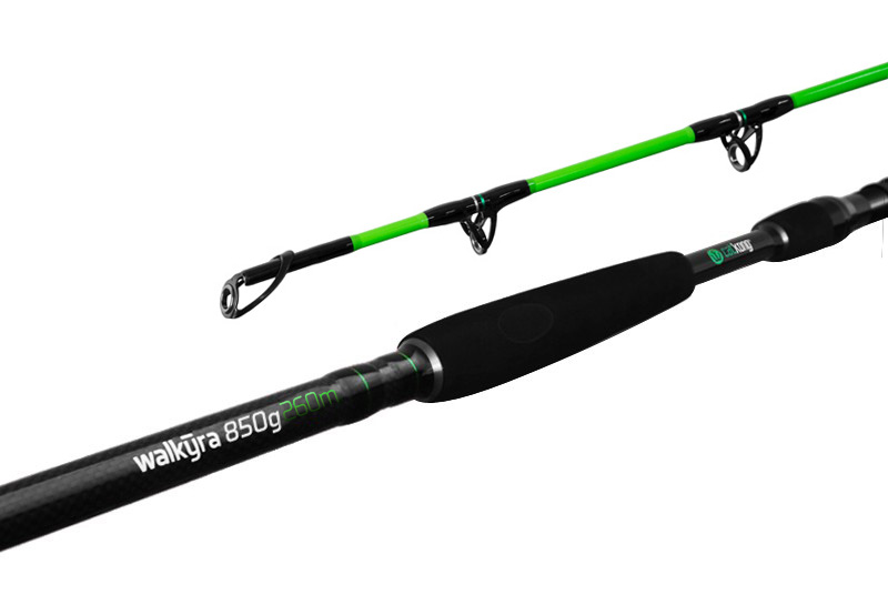Delphin Prut Walkyra 2,6m 850g 2-díl