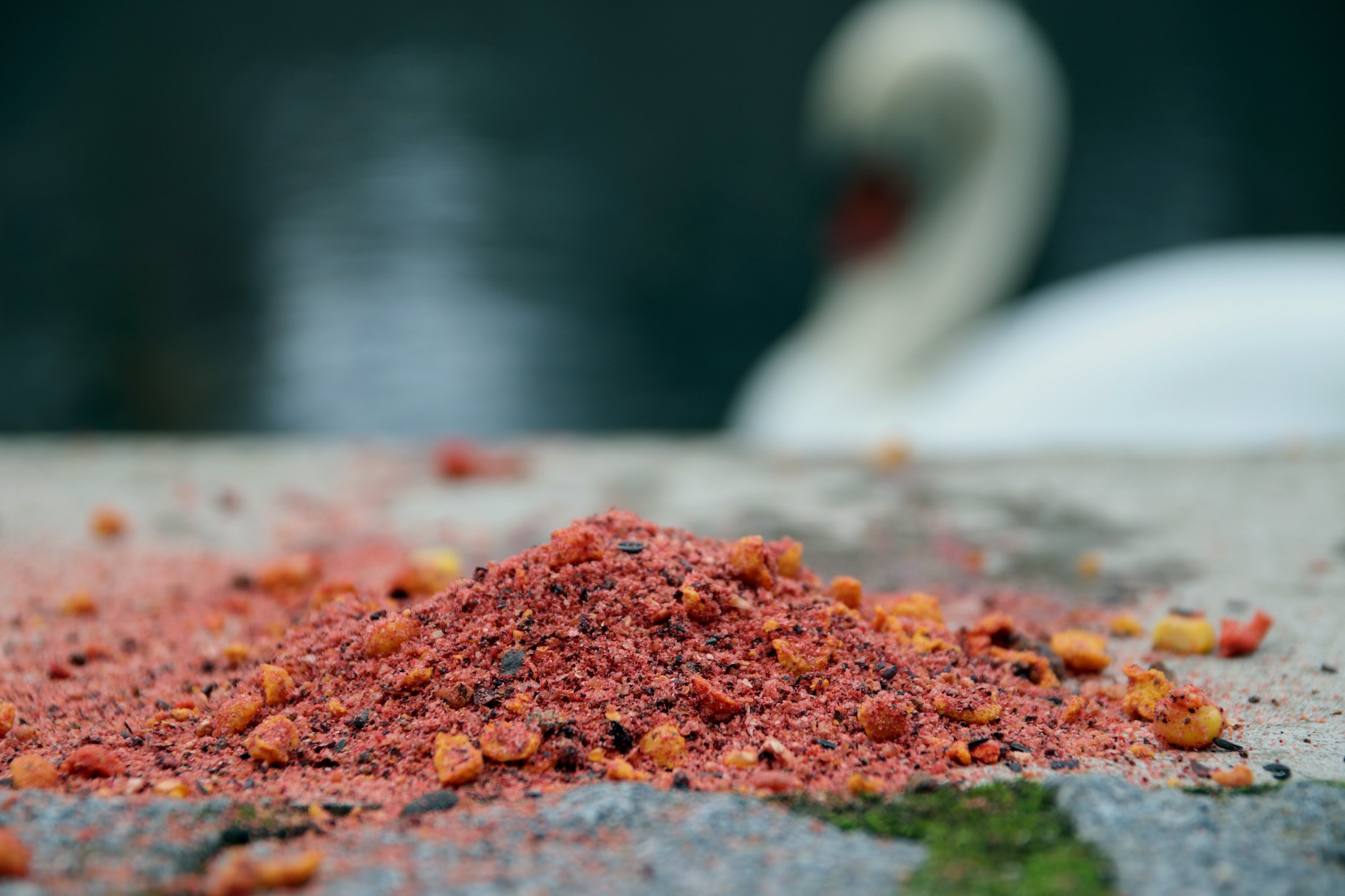 Mivardi Method mix Rapid Champion (obrázek 7)