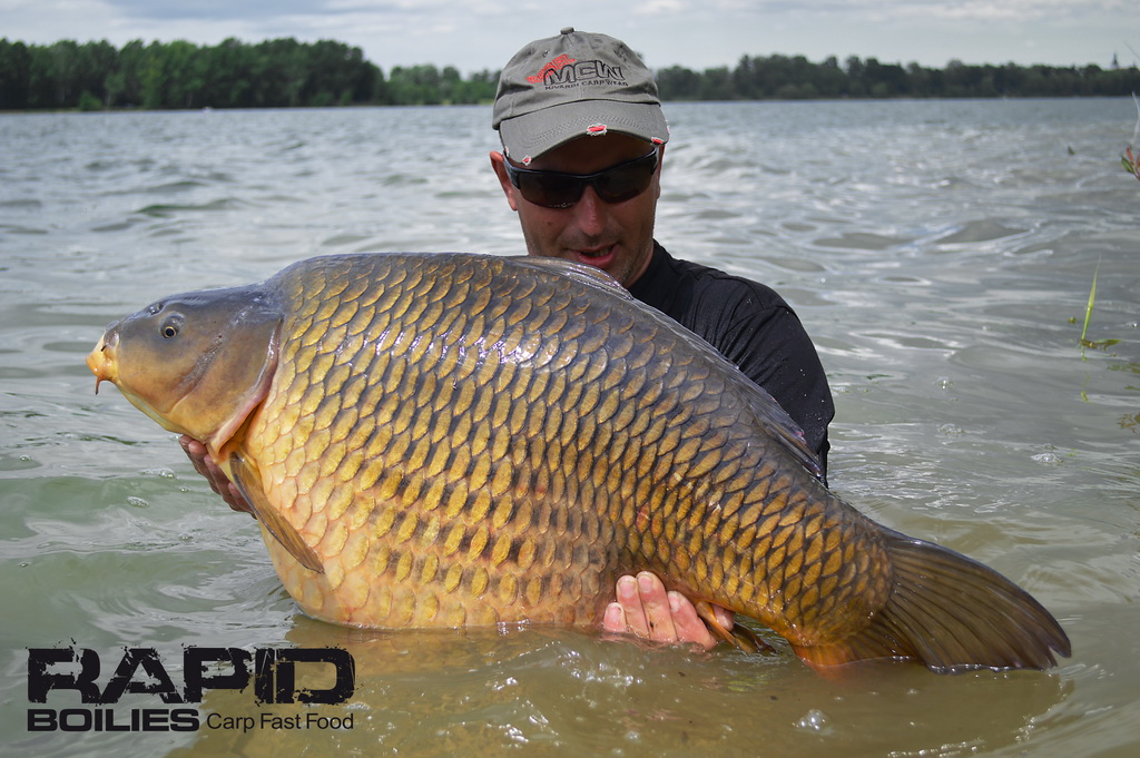 Mivardi Boilies Rapid Champion Platinum 950g - Sea Hmotnost: 950g, Průměr: 24mm - Obrázek 2