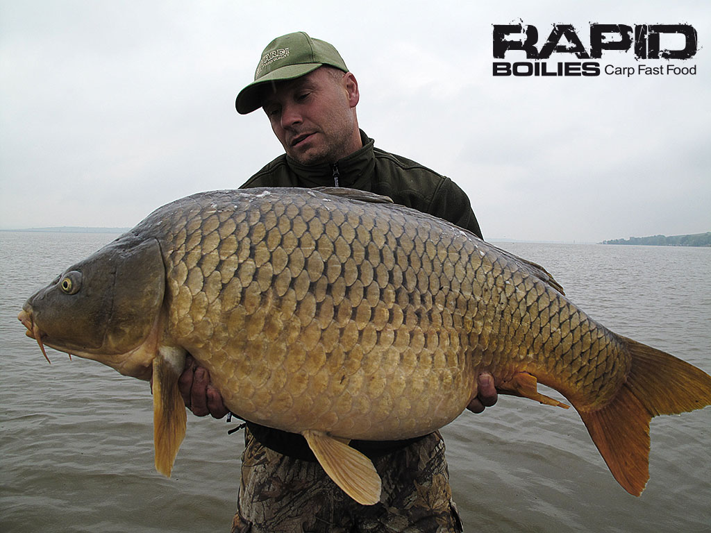 Mivardi Boilies Rapid Champion Platinum 950g - Sea Hmotnost: 950g, Průměr: 24mm - Obrázek 3