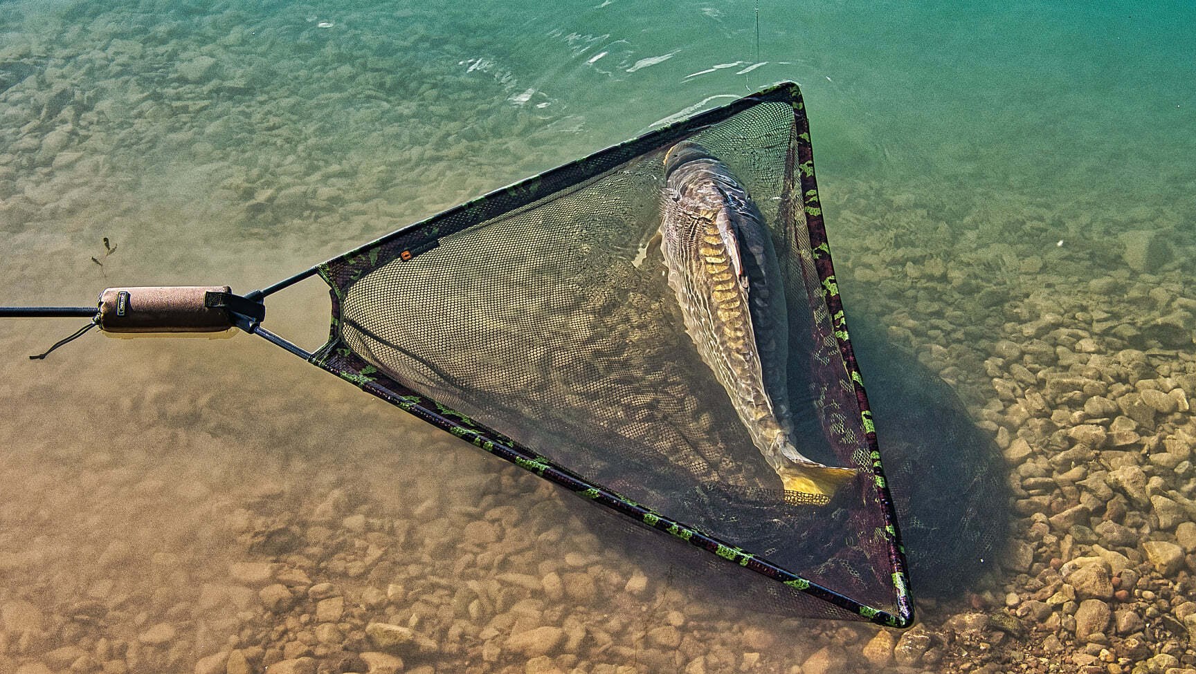 Prologic Podběrák Avenger Landing Net 2 Díl (obrázek 4)