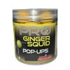 Starbaits Plovoucí Boilies Pro Ginger Squid  80g