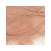 Petitjean CDC Feathers 1 Gram Bags Pink 861d9689 09b7 4aee 8b3b 1c08160c1ae2.3d71ef6bf9702f7967e4a0670cb277bf