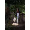 Ledlenser P5R Core 502178 Home Life 05 800x800