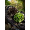 Korda Čepice Nanny Pat Hat Dark Olive