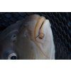 preston inavations gumicky na nastrahy hookable bait bands (8)