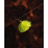 Tip Toppers Yellow alt 1 1000x