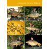 tb baits smoke liquid corn 100 ml (3)