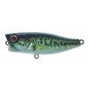 Illex Wobler Chubby Popper 4,2cm