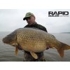 Mivardi Boilies Rapid Champion Platinum Sea