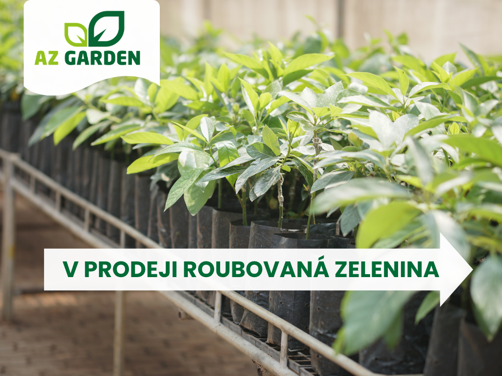 V prodeji roubovaná zelenina