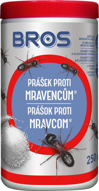 AZ_mravenci_1