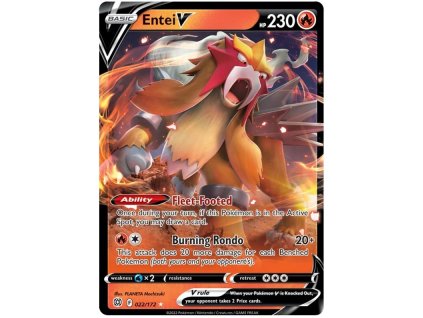 Entei V.SWSH09.22.42708