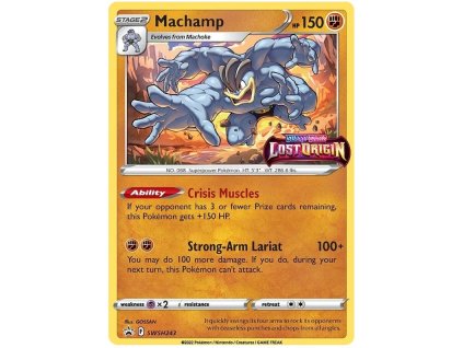 Machamp.SWSH.243.44347