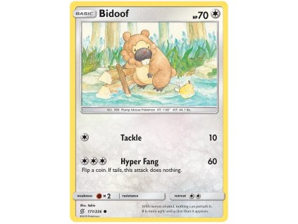 Bidoof.UMI.171.29192