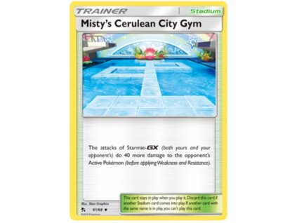 Mistys Cerulean City Gym.HIF.61.29625
