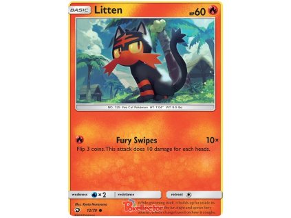 Litten.DRM.12.23550