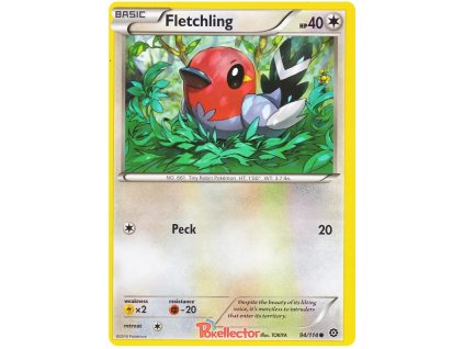 Fletchling.STS.94