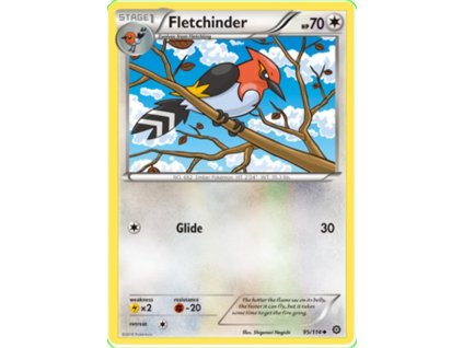 Fletchinder.STS.95
