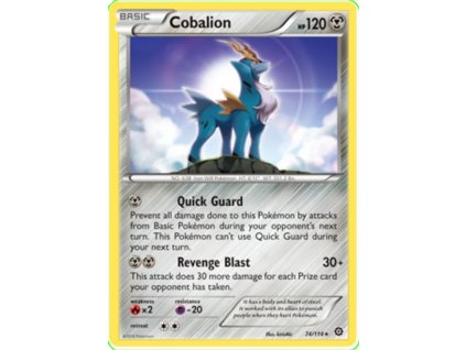 Cobalion.STS.74++