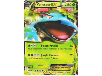 Venusaur EX.XY.1