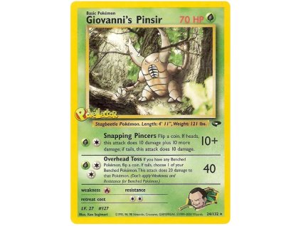 Giovannis Pinsir.G2.24