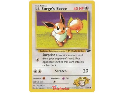 Lt Surges Eevee.G2.51