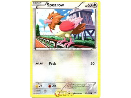 Spearow.RSK.65